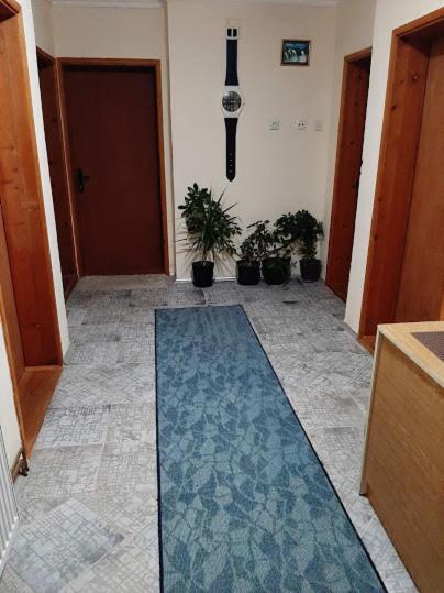 Privatni Smestaj Dobri Dobrosin Exterior photo